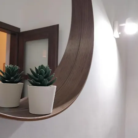 Large Close To Rocky Mcre1-1 *